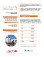 Lone Star Energy factsheet