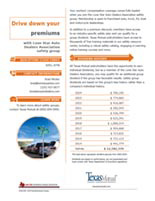 Lone Star Auto Dealers factsheet